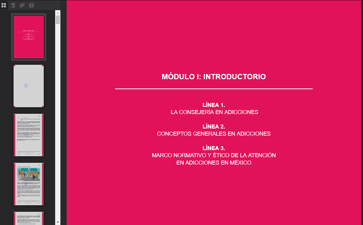 TomoIModuloIManualdelConsejeroIMG